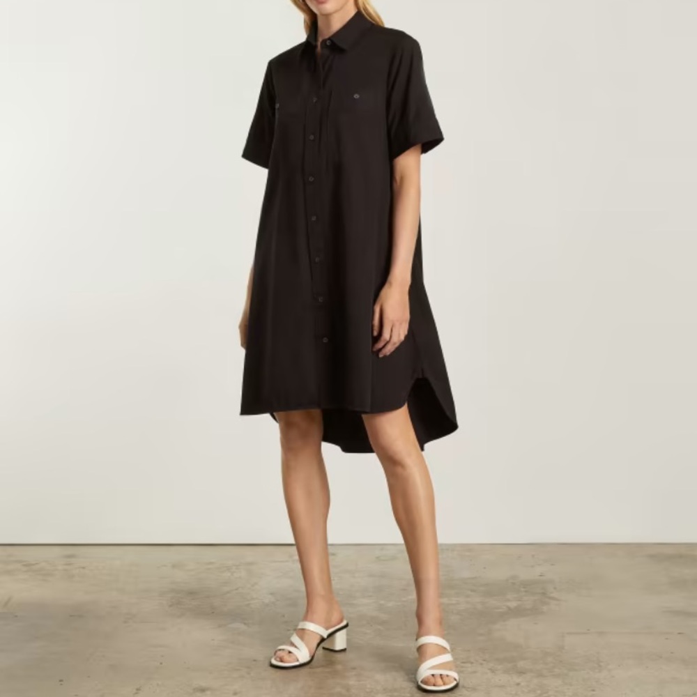 Everlane The Day Tripper Shirtdress